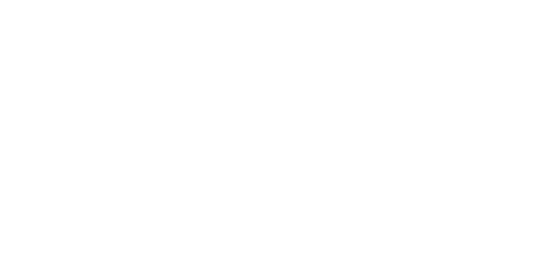 Amusement Park Enthusiast