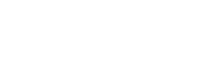 Amusement Park Enthusiast